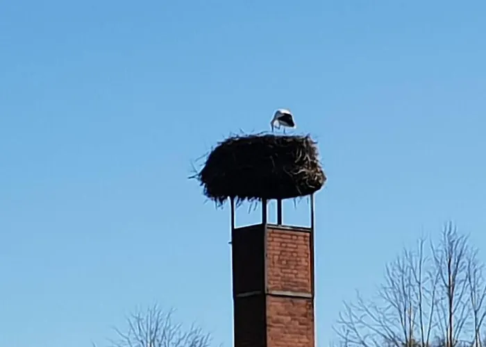 Fewo-heidekreis Right Along The Old River Leine Appartement *